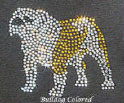 bulldogcolored.jpg