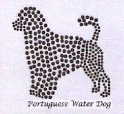 portuguesewaterdog.jpg