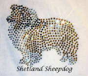 shetlandsheepdog.jpg