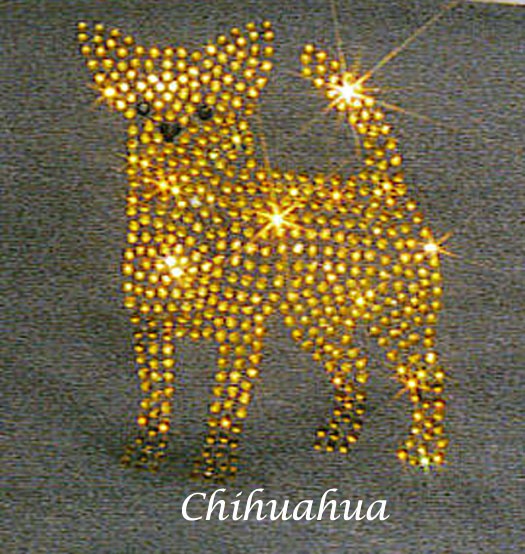 chihuahua.jpg